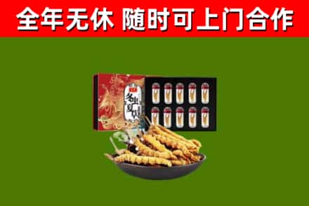 太仓市回收冬虫夏草价格