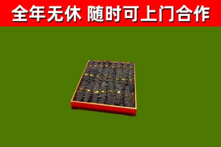 太仓市回收海参